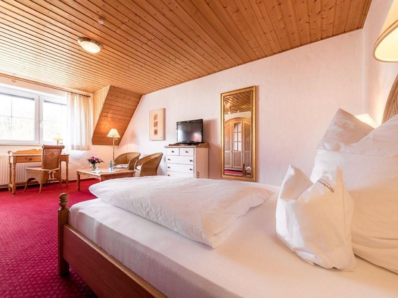 Hotel Antoniushuette - Oda
