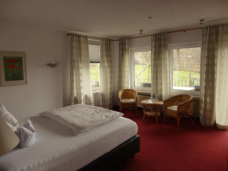 Hotel Antoniushuette - Oda