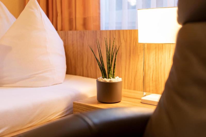 Hotel Zum Steinhof - Oda