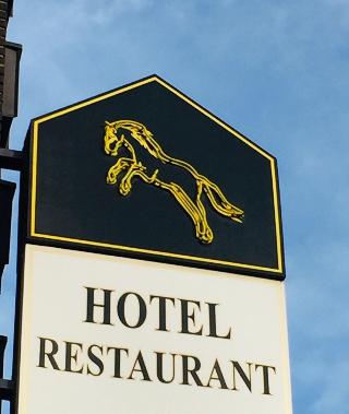 H&S Hotel Wildpferd fotoÄŸrafÄ±