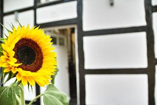 Kragemann Hotel & Vinothek fotoÄŸrafÄ±