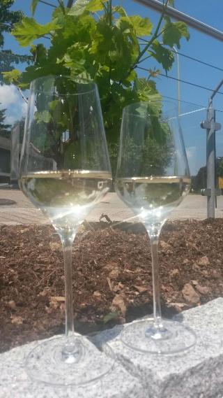 Kragemann Hotel & Vinothek fotoÄŸrafÄ±
