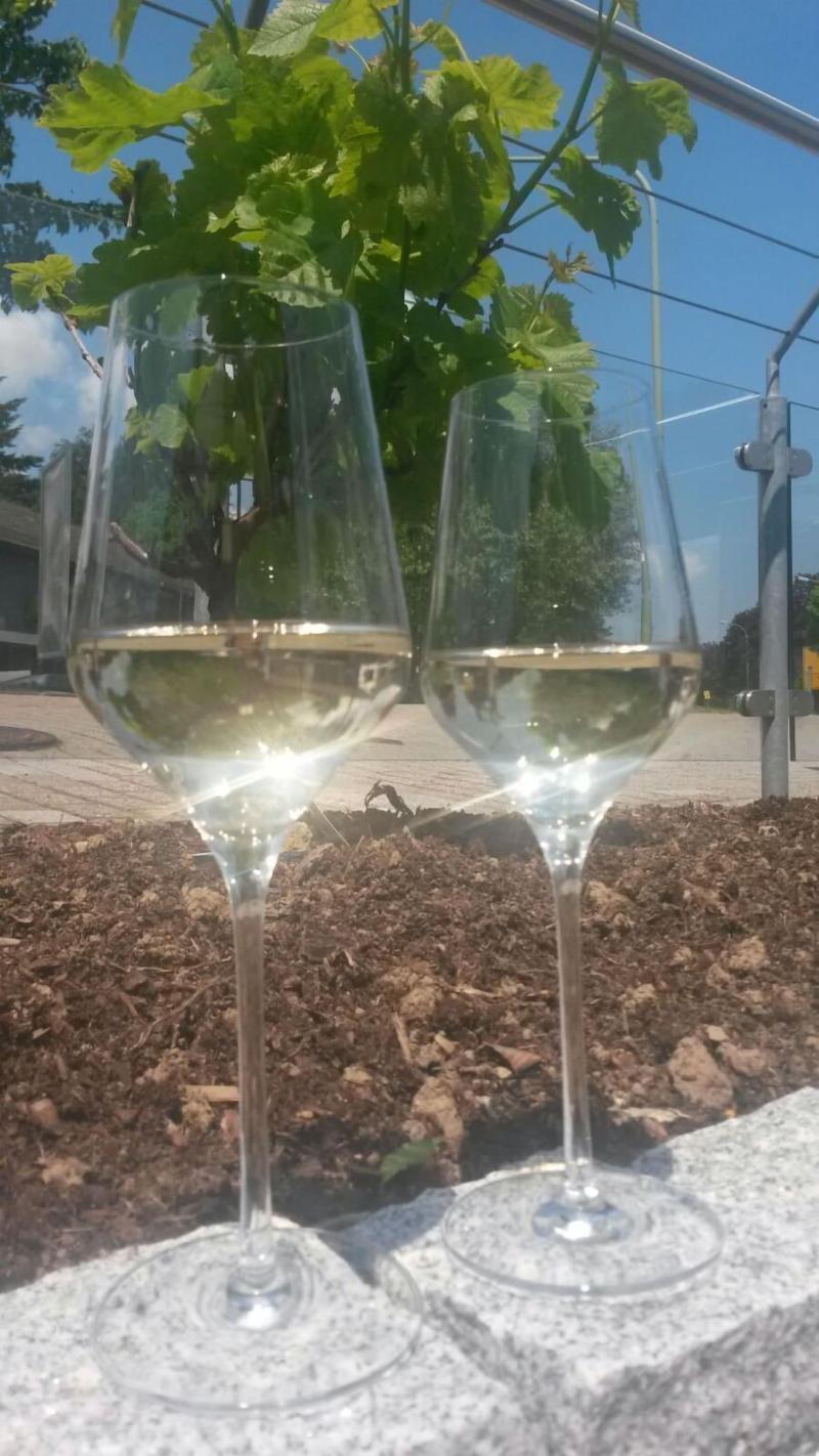 Kragemann Hotel & Vinothek - Restoran