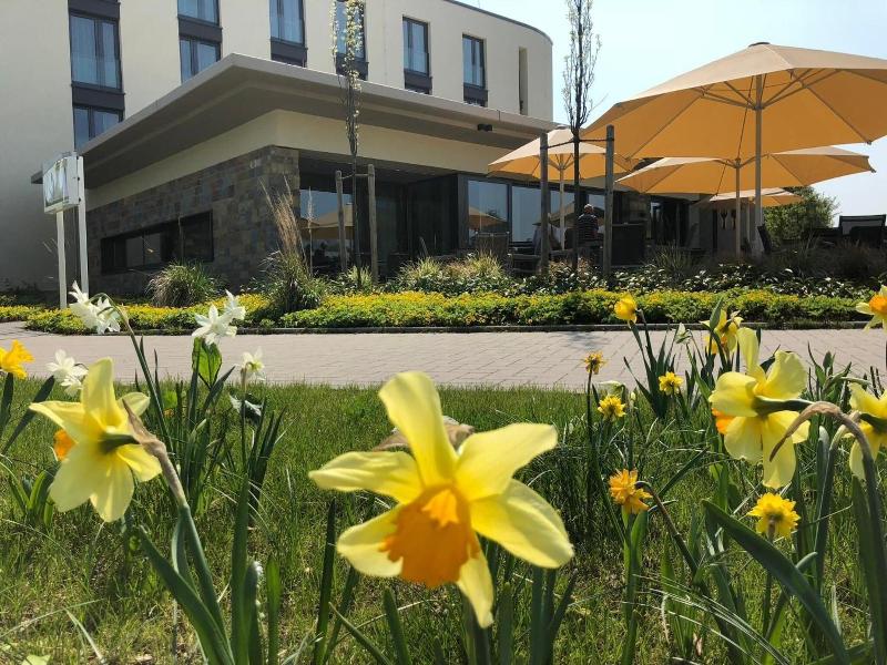 Hotel Susato - Genel