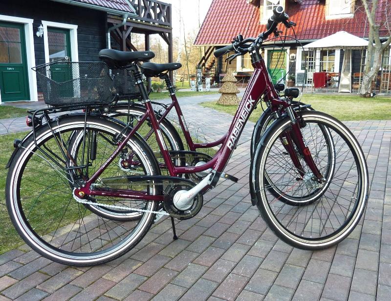 Pension Zum Schlangenkoenig - Aktivite