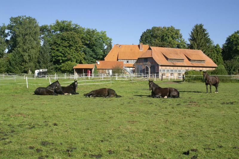 Hotel Traumzeithof - Genel