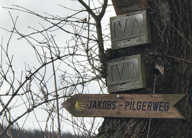 Hotel Höxter Am Jakobsweg - Aktivite