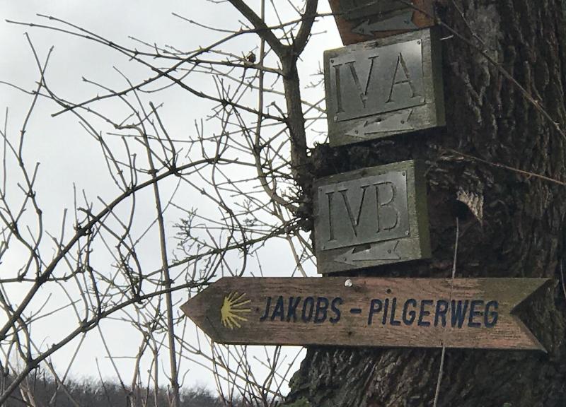 Hotel Höxter Am Jakobsweg - Aktivite