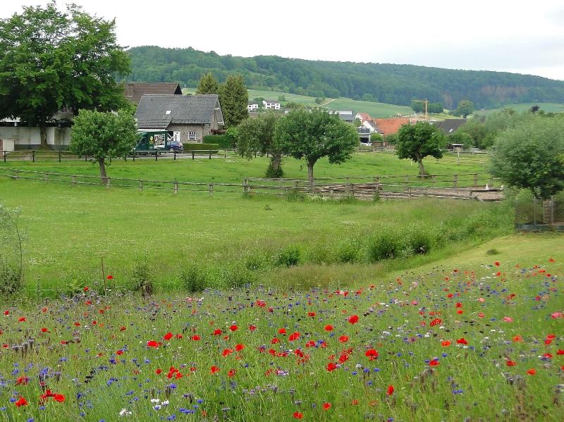 Hotel Höxter Am Jakobsweg - Oda
