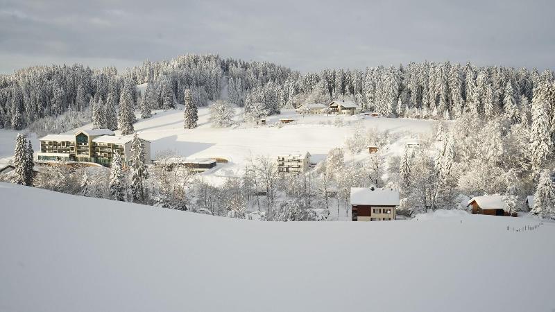 Hotel Edita - Genel