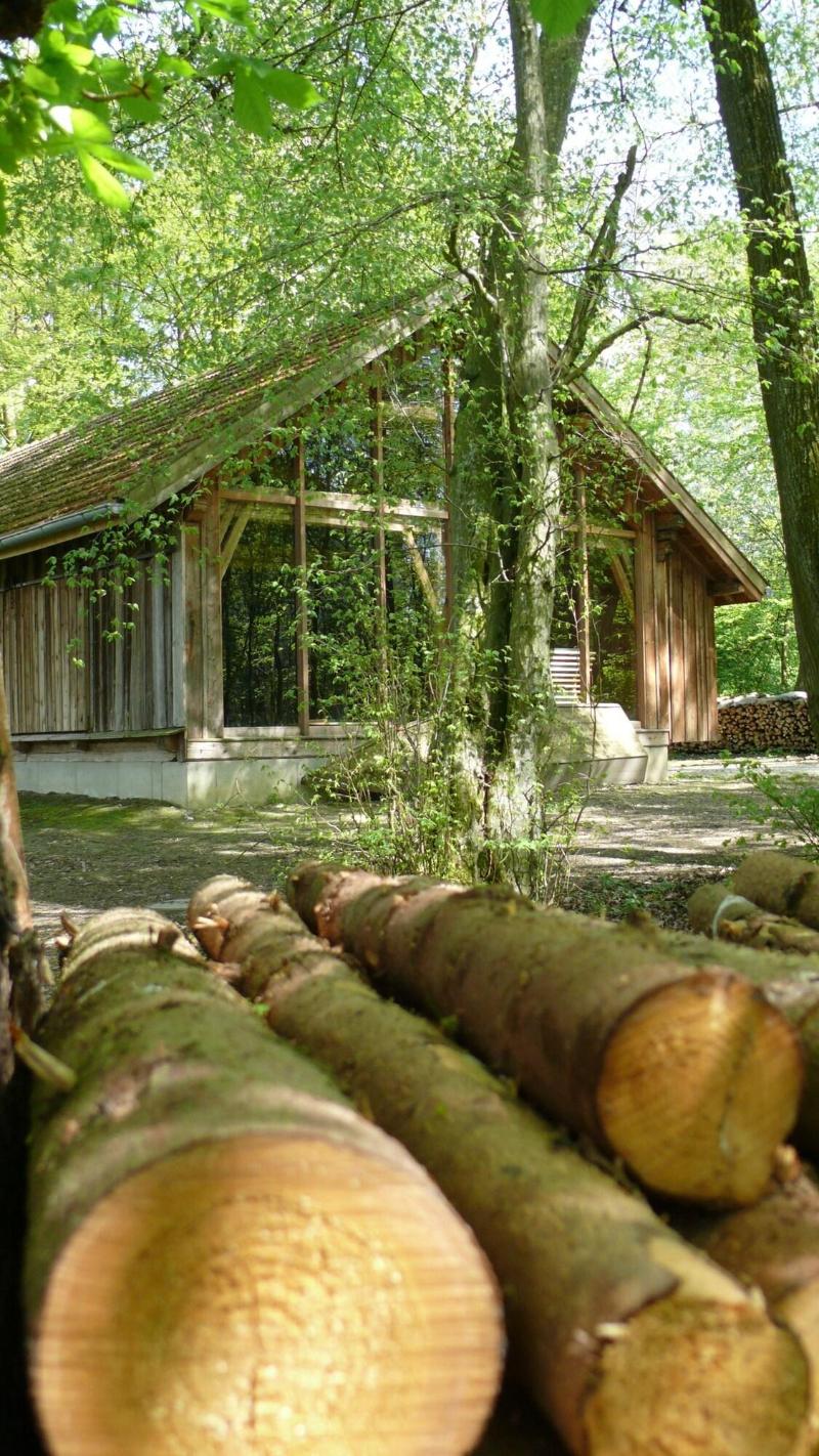 Schlossparkhotel Mariakirchen - Genel