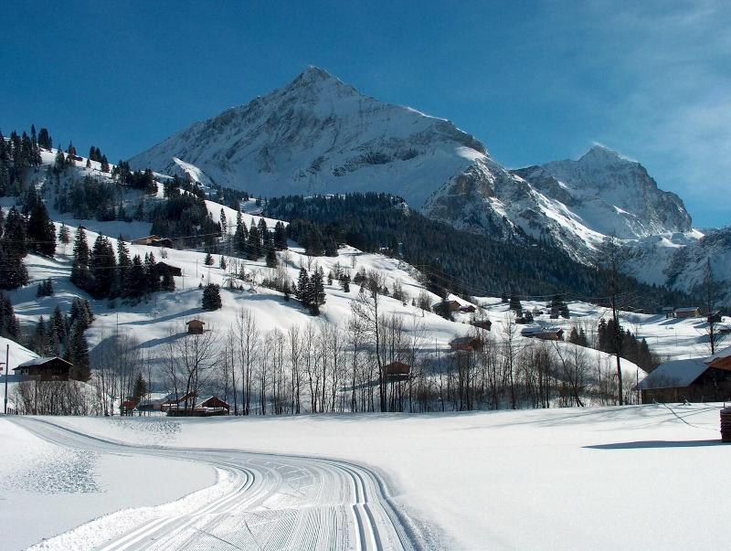 Hotel Spitzhorn - Aktivite