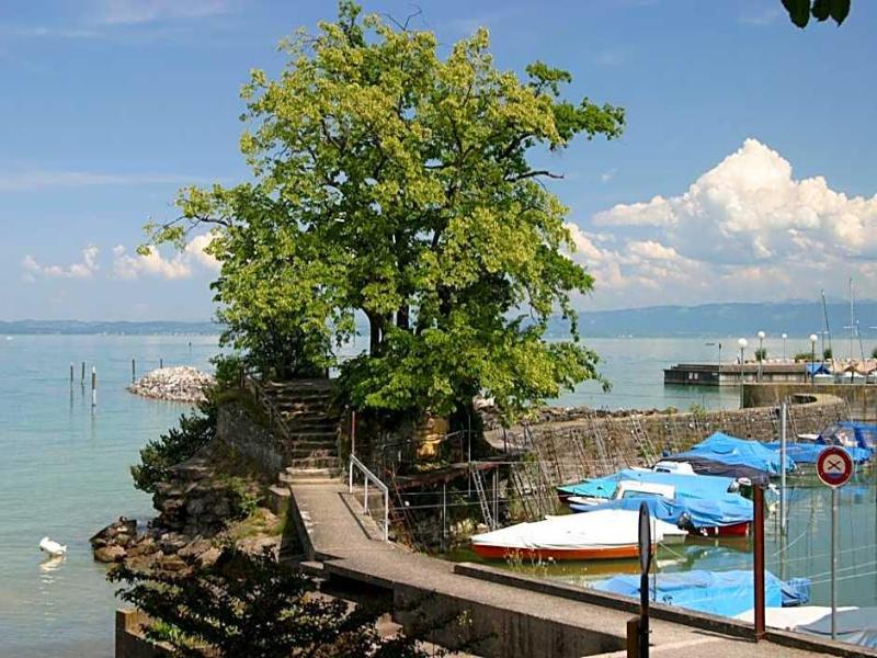 Park - Hotel Inseli - Genel