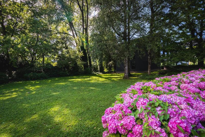 b smart hotel Widnau - Genel