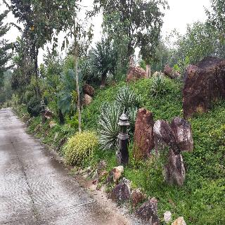 Wangnamkhao Resort fotoÄŸrafÄ±
