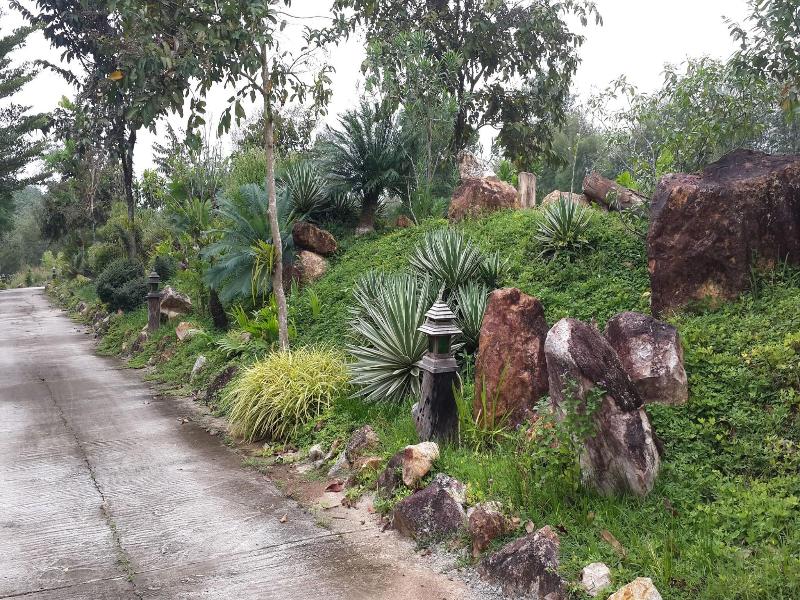 Wangnamkhao Resort - Genel