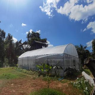Wangnamkhao Resort fotoÄŸrafÄ±