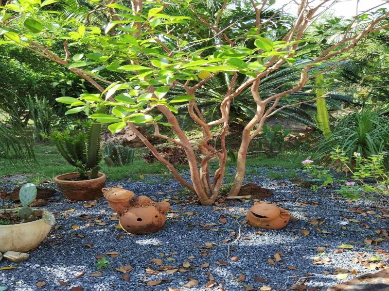 Wangnamkhao Resort - Genel