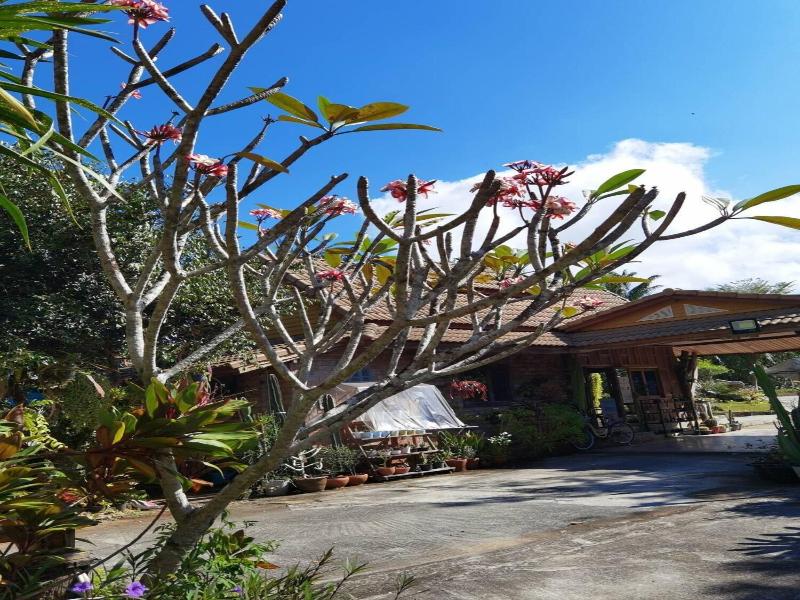 Wangnamkhao Resort - Genel