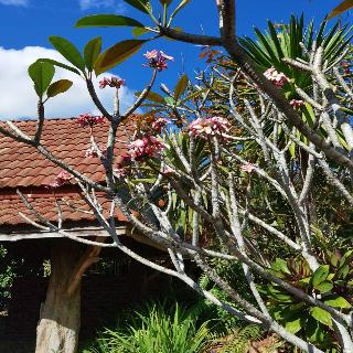 Wangnamkhao Resort fotoÄŸrafÄ±