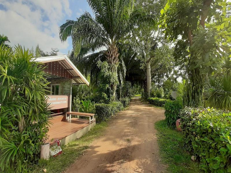 Sawansang Nangkeaw Resort - Teras