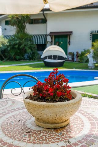 Au Jardin Fleuri fotoÄŸrafÄ±