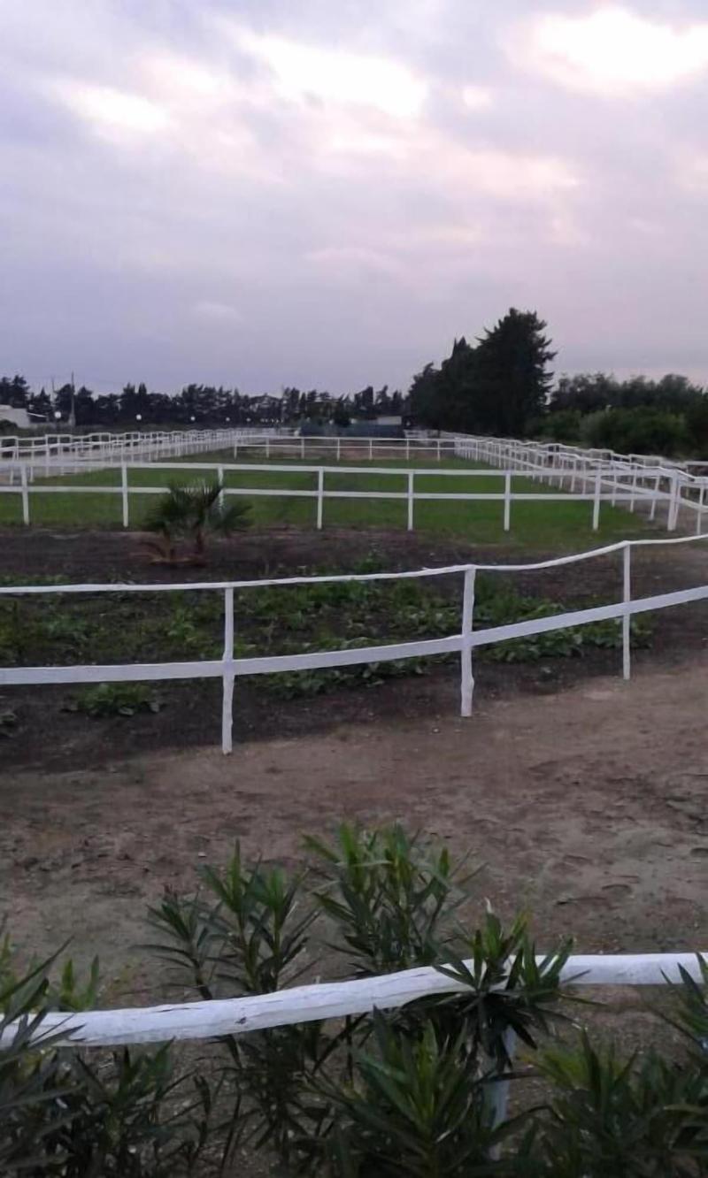Apollonion Country House - Genel