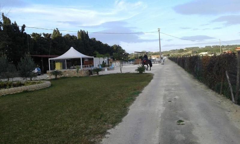 Apollonion Country House - Genel