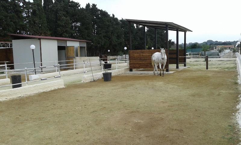Apollonion Country House - Genel