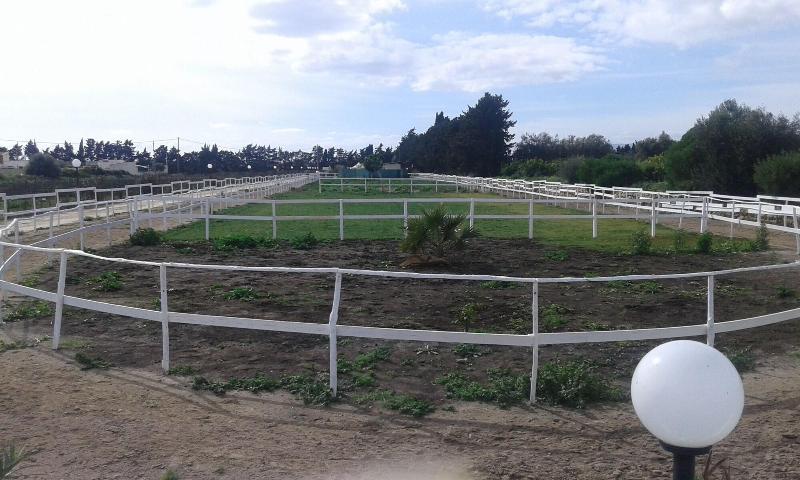 Apollonion Country House - Genel