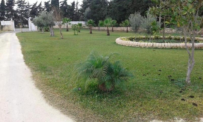 Apollonion Country House - Genel