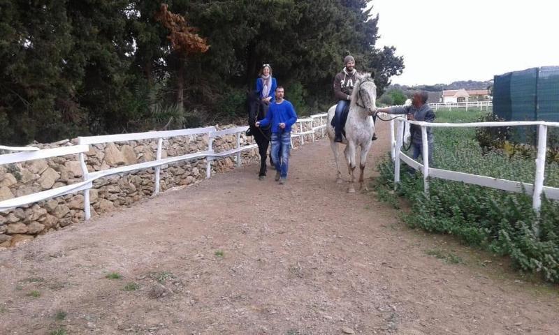 Apollonion Country House - Genel