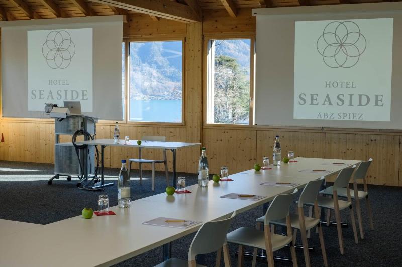 Hotel Seaside Abz Spiez - Toplantı