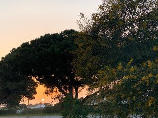 Sublime Sun and Van by Meco Stays fotoÄŸrafÄ±