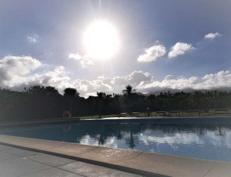 Whales Bay Hotel Apartamentos - Havuz