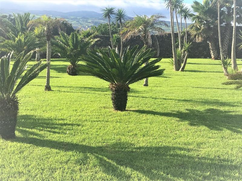 Whales Bay Hotel Apartamentos - Teras
