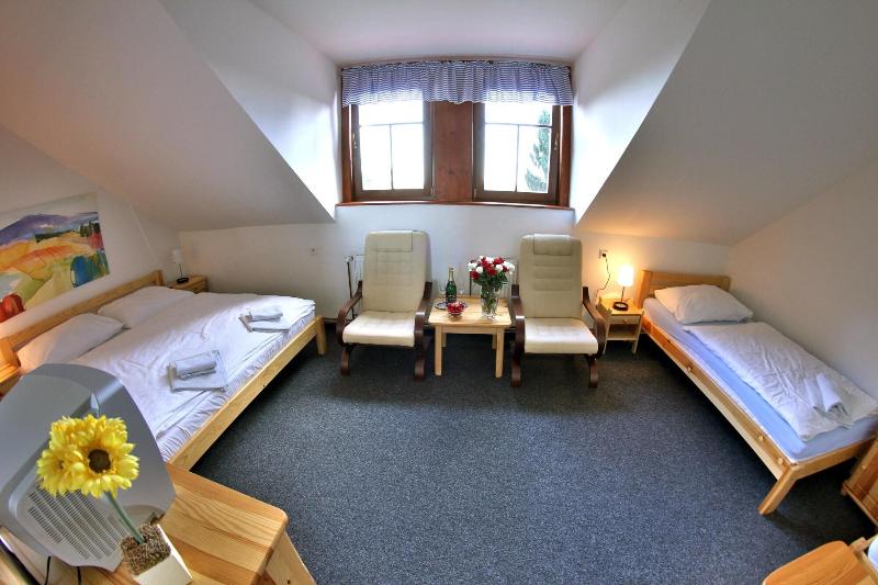 Hotel Pod Šikmou Věží - Oda