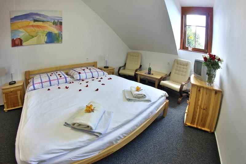 Hotel Pod Šikmou Věží - Oda