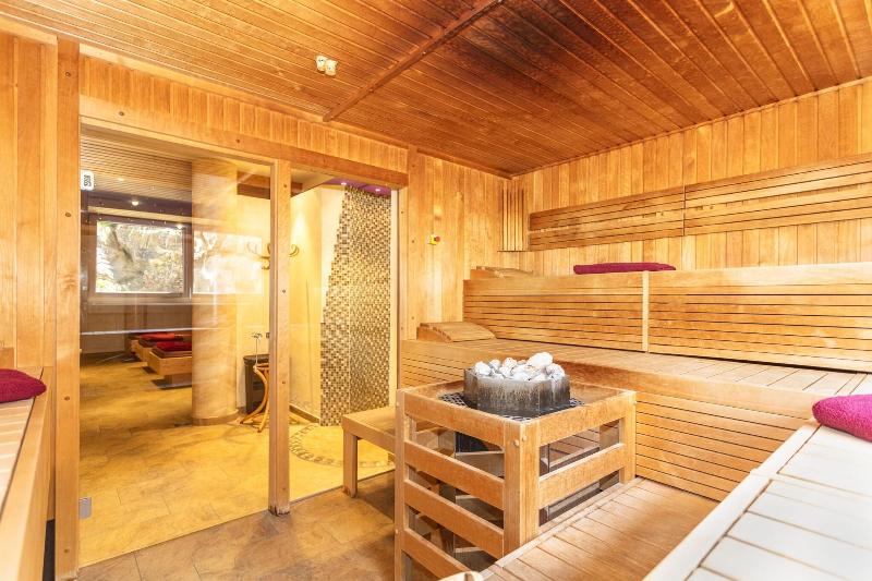 Hotel Wenger Alpenhof - Aktivite