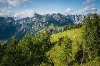 Hotel Wenger Alpenhof fotoÄŸrafÄ±
