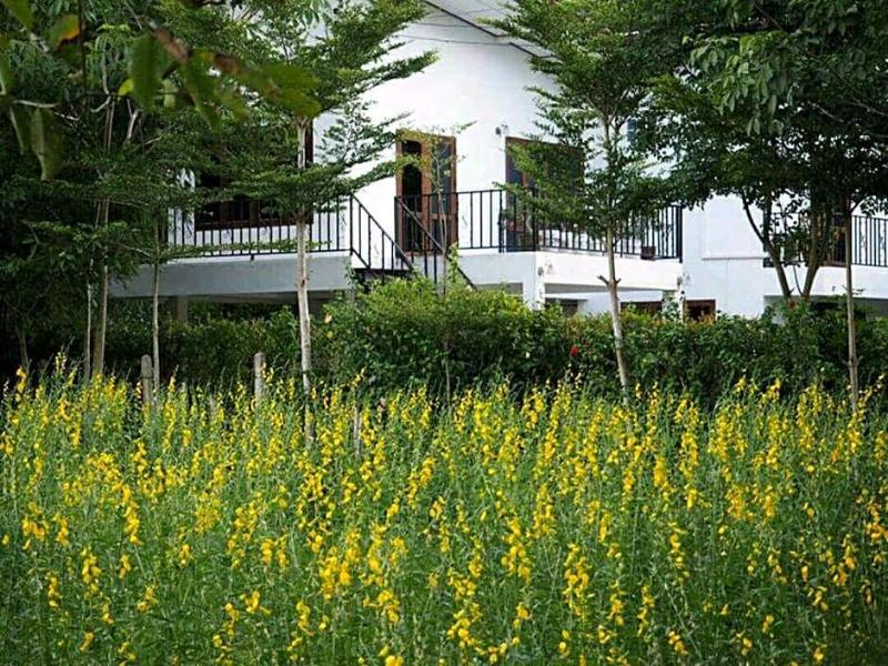Sanfhan Resort - Genel