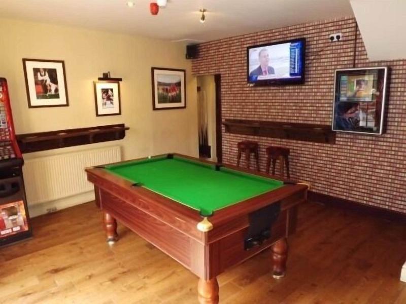 The New Globe Inn - Aktivite