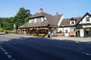 The Flying Bull Inn fotoÄŸrafÄ±