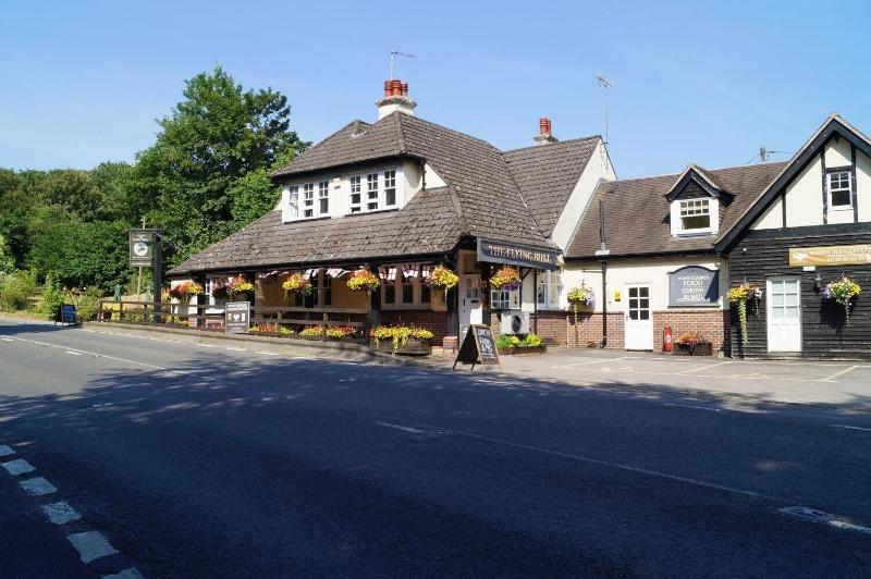 The Flying Bull Inn - Genel