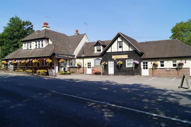 The Flying Bull Inn - Genel