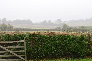 Downham Hall fotoÄŸrafÄ±