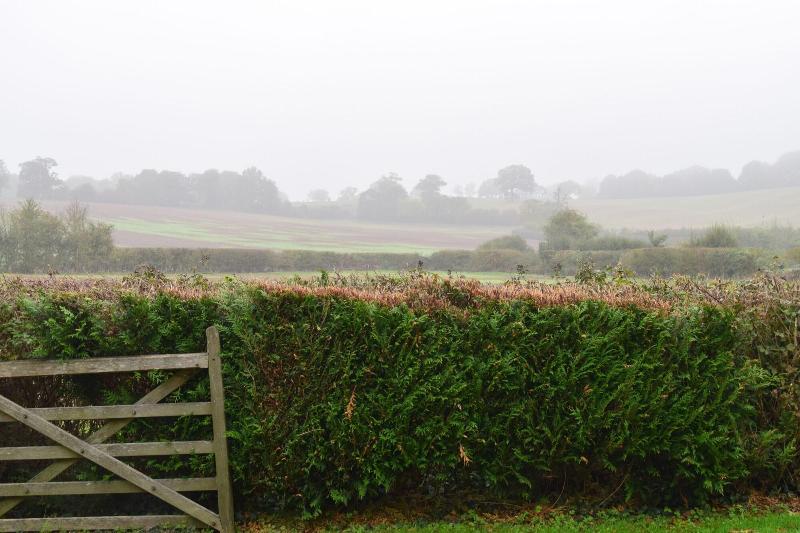 Downham Hall - Genel