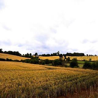 Downham Hall fotoÄŸrafÄ±