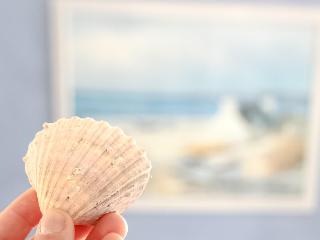 Mas Saint-Ange fotoÄŸrafÄ±
