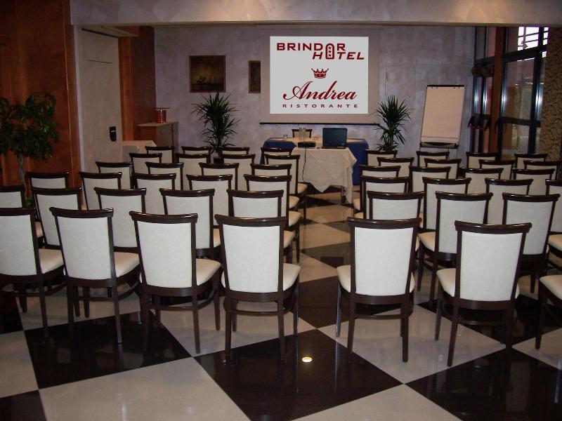 Brindor Hotel - Toplantı